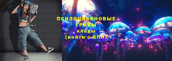 spice Пересвет