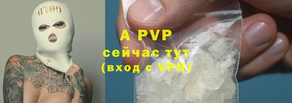 spice Пересвет