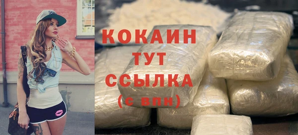 spice Пересвет