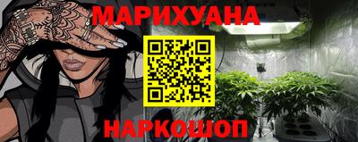 гидропоника Гусь-Хрустальный