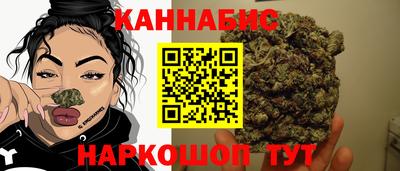 гидропоника Гусь-Хрустальный