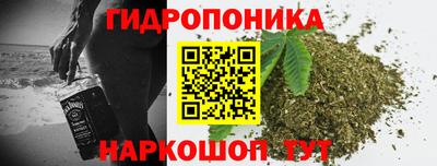 гидропоника Гусь-Хрустальный