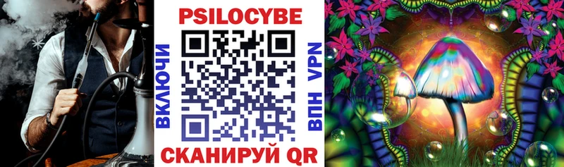 Галлюциногенные грибы прущие грибы  Грязи 