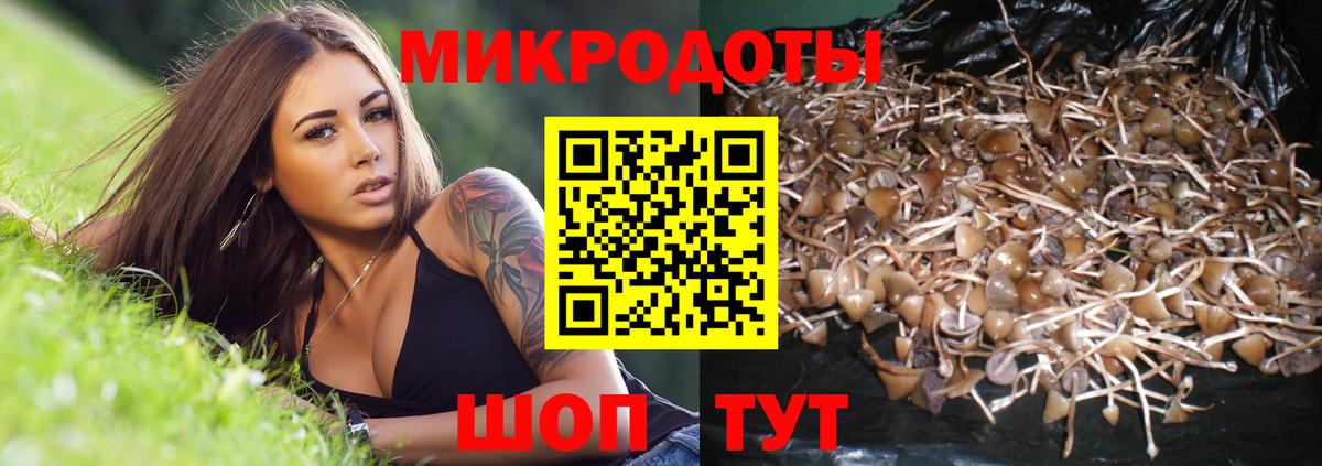 Псилоцибиновые грибы мухоморы  Грязи  Псилоцибиновые грибы Psilocybe 